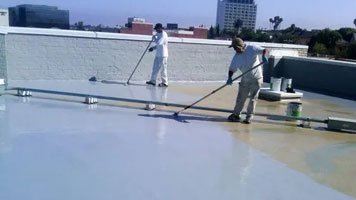 Roof & Terrace